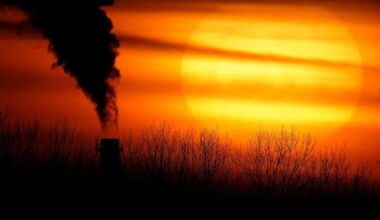Study links heat waves to pollution from major fossil fuel producers