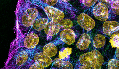 2025 Art In Science Competition Winners Announced