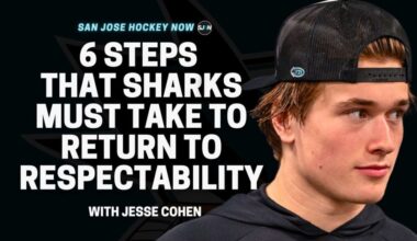 6 Steps That Sharks Must Take To Return to Respectability