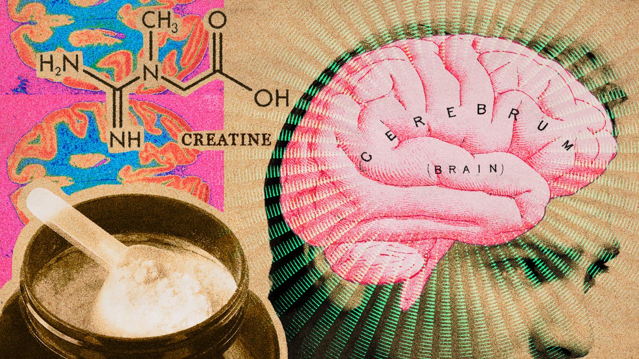Yes, Creatine Benefits Include Reversing the Effects of Sleep Deprivation and Stress