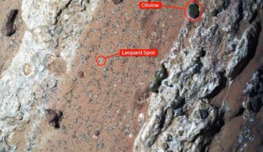 ‘Groundbreaking' NASA Discovery Is ‘Closest We Have Ever Come’ to Finding Life on Mars