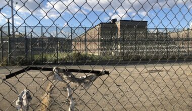 ICE Detentions in New York County Jails Have Exploded