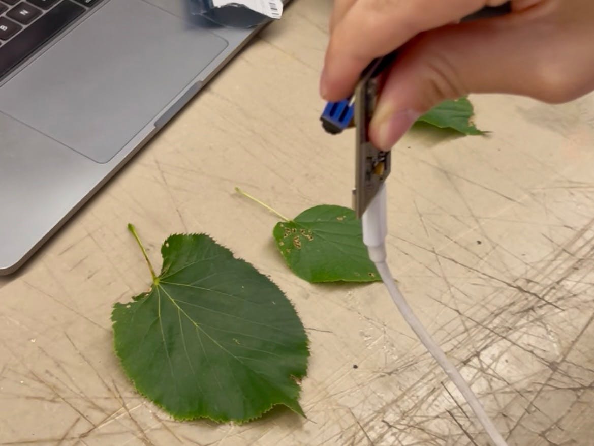 Embedded AI for Real-Time Leaf Disease Detection