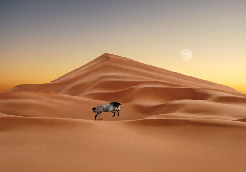 A lone wildebeest walks across smooth, golden sand dunes under a pale sky at dusk, with the moon visible above the horizon.