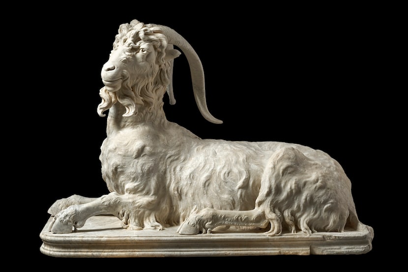 "Statue of a Resting Goat" dates to the late first century, though the head was restored by...