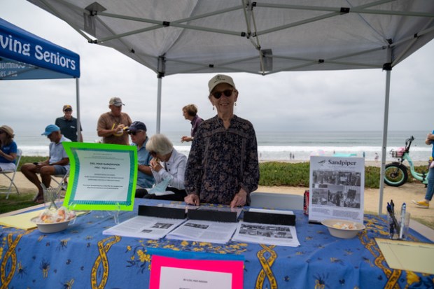 Del Mar Sandpiper (Bill Morris)