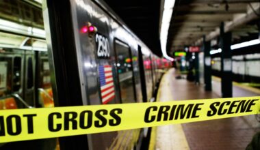 Woman bashed in head with mini baseball bat on NYC subway: NYPD