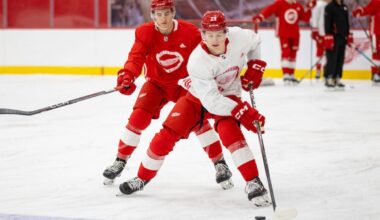 Nate Danielson, Red Wings prospect