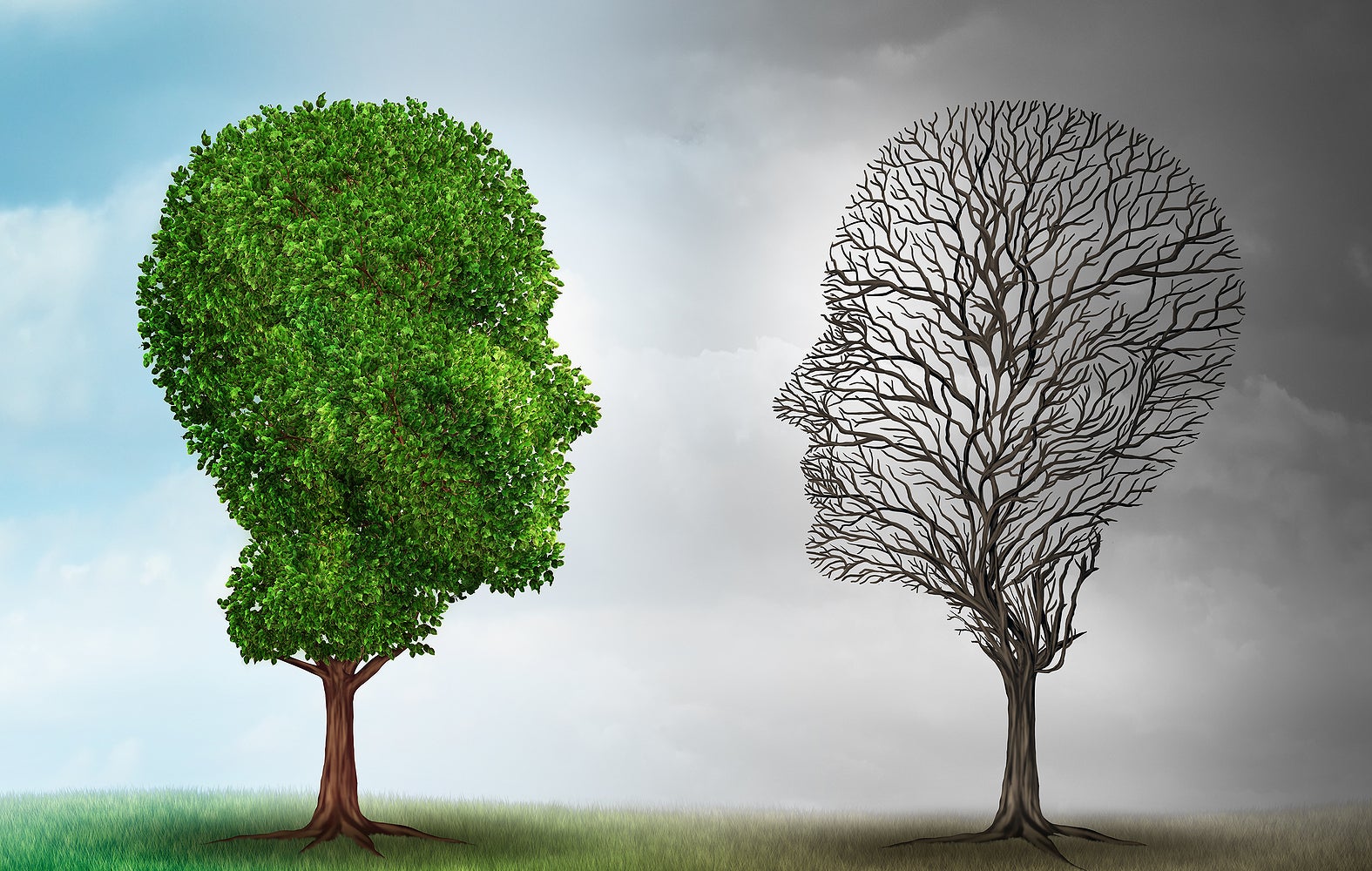 Different Patients, Different Outcomes - WHYY