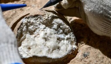 Scientists Blast Dinosaur Eggs With Lasers to Check Their Ancient 'Atomic Clocks' : ScienceAlert