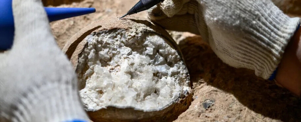 Scientists Blast Dinosaur Eggs With Lasers to Check Their Ancient 'Atomic Clocks' : ScienceAlert