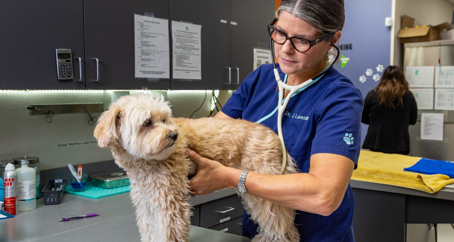 Dallas native serves the community through accessible pet care