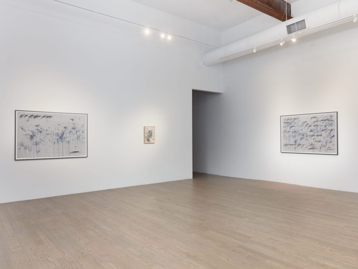 The poetics of decay