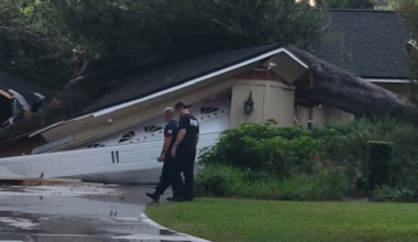 JFRD crews respond after tree falls onto home in Beauclerc neighborhood