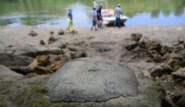 Alabama family finds 32-million-year-old sea turtle fossil: ‘Something I will never forget’