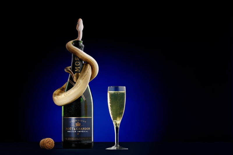 A gold snake coils around a Moët & Chandon champagne bottle, with its head emerging from the bottle’s opening. A filled champagne glass and a cork lie beside the bottle, all set against a dark blue-black background.