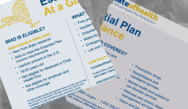 In Brief: New York’s Essential Plan