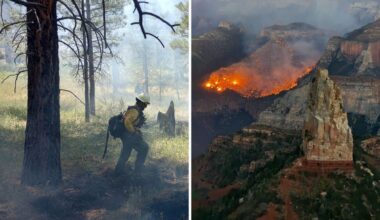 Firefighter tasked to Dragon Bravo Fire dies in line of duty...