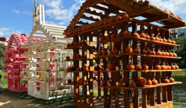 Fall Festivals, Pumpkin Patches, & More
