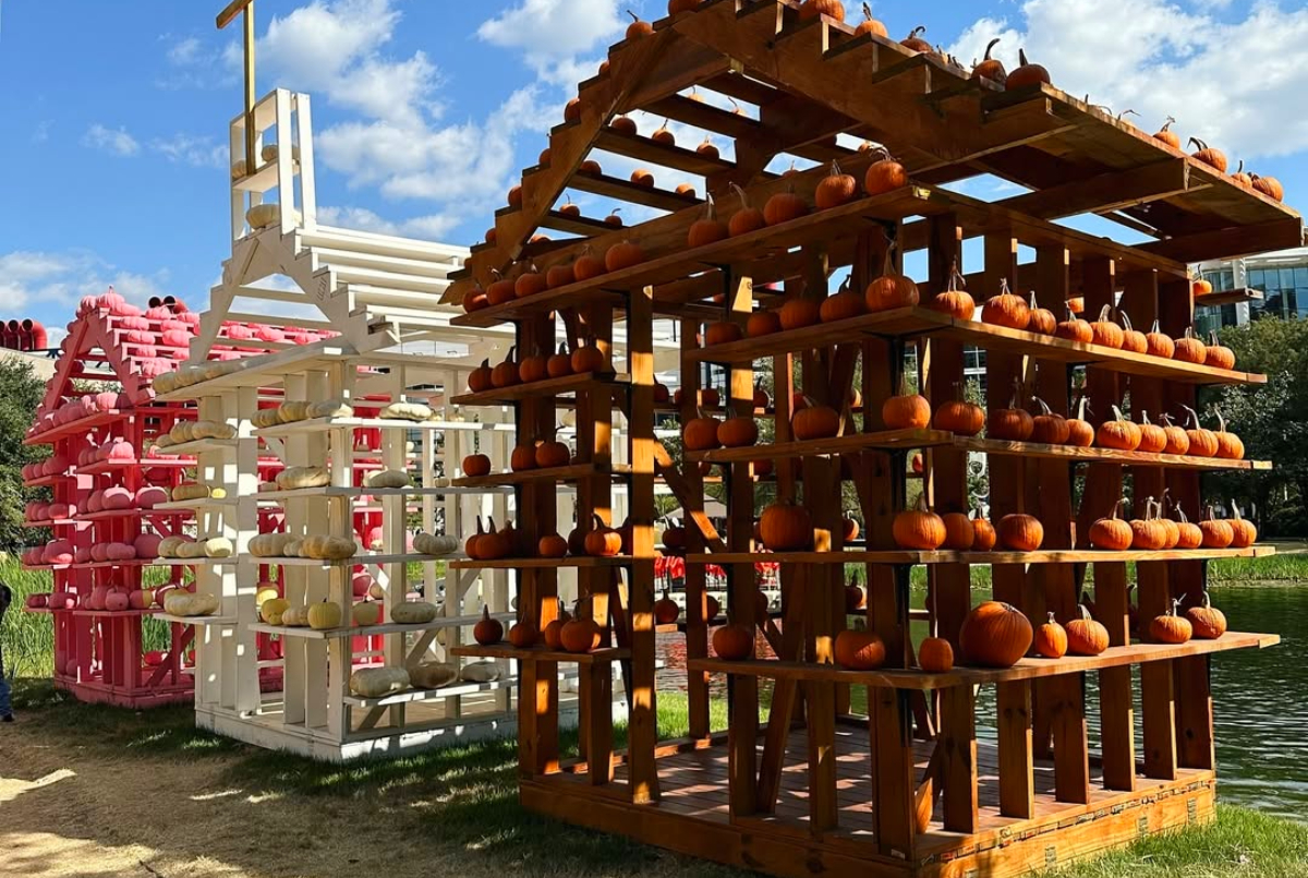 Fall Festivals, Pumpkin Patches, & More