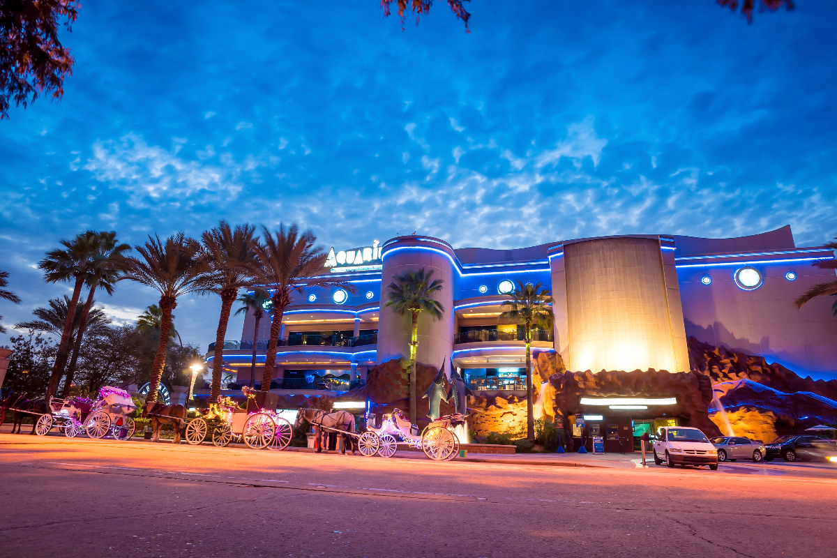 5 See-Worthy Aquariums In Houston To Visit Any Time Of The Year