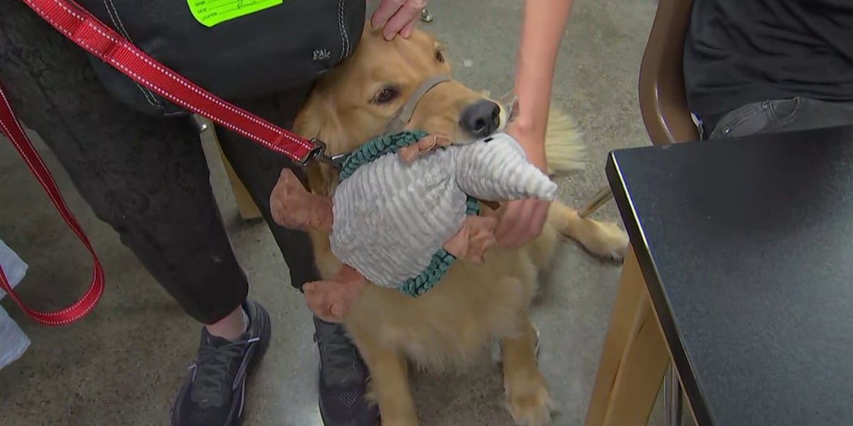 Therapy dogs help Phoenix students learn to read