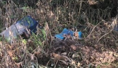 Why is there still trash on the highways?