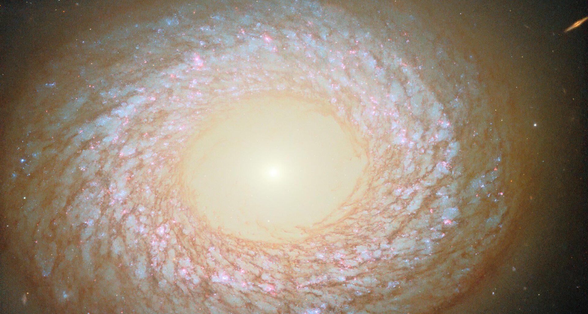 Not Spiral. Not Elliptical. So What Exactly Is This Galaxy?