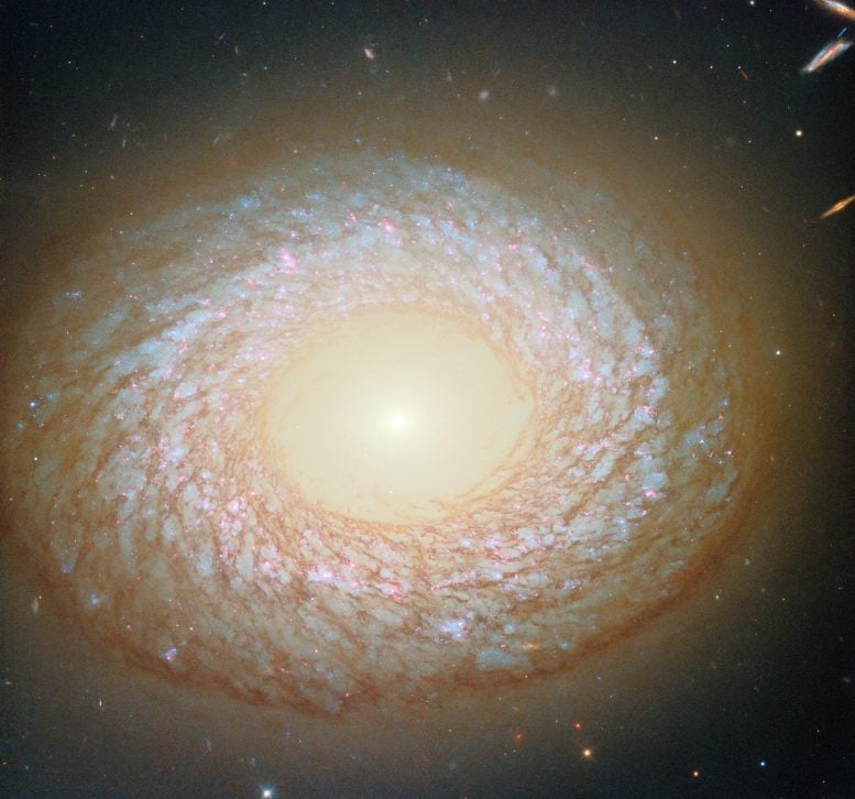 Galaxy NGC 2775