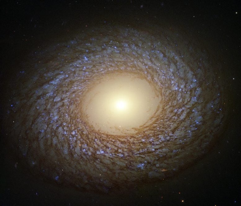Galaxy NGC 2775