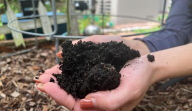 Gardening has hidden benefits, can bolster mental wellbeing