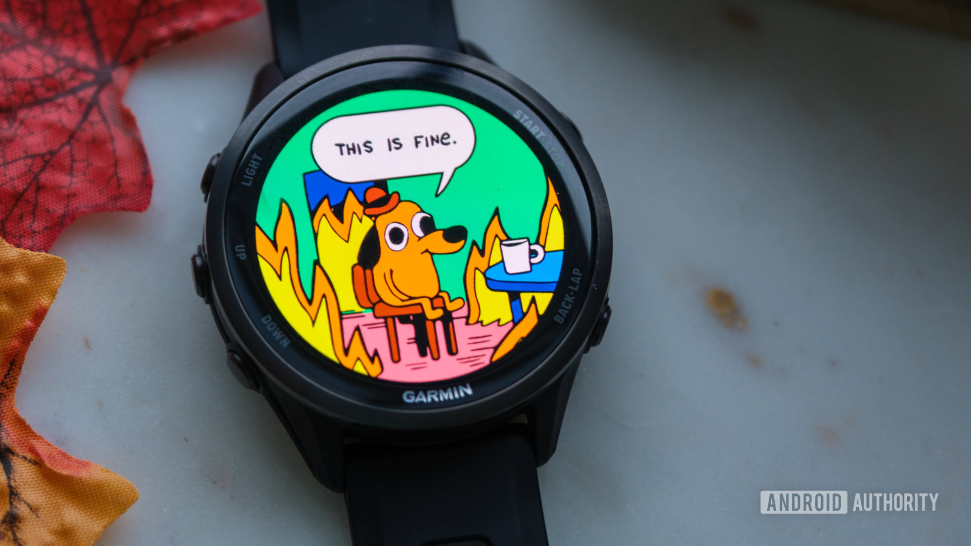 Garmin This Is Fine Watch Face close