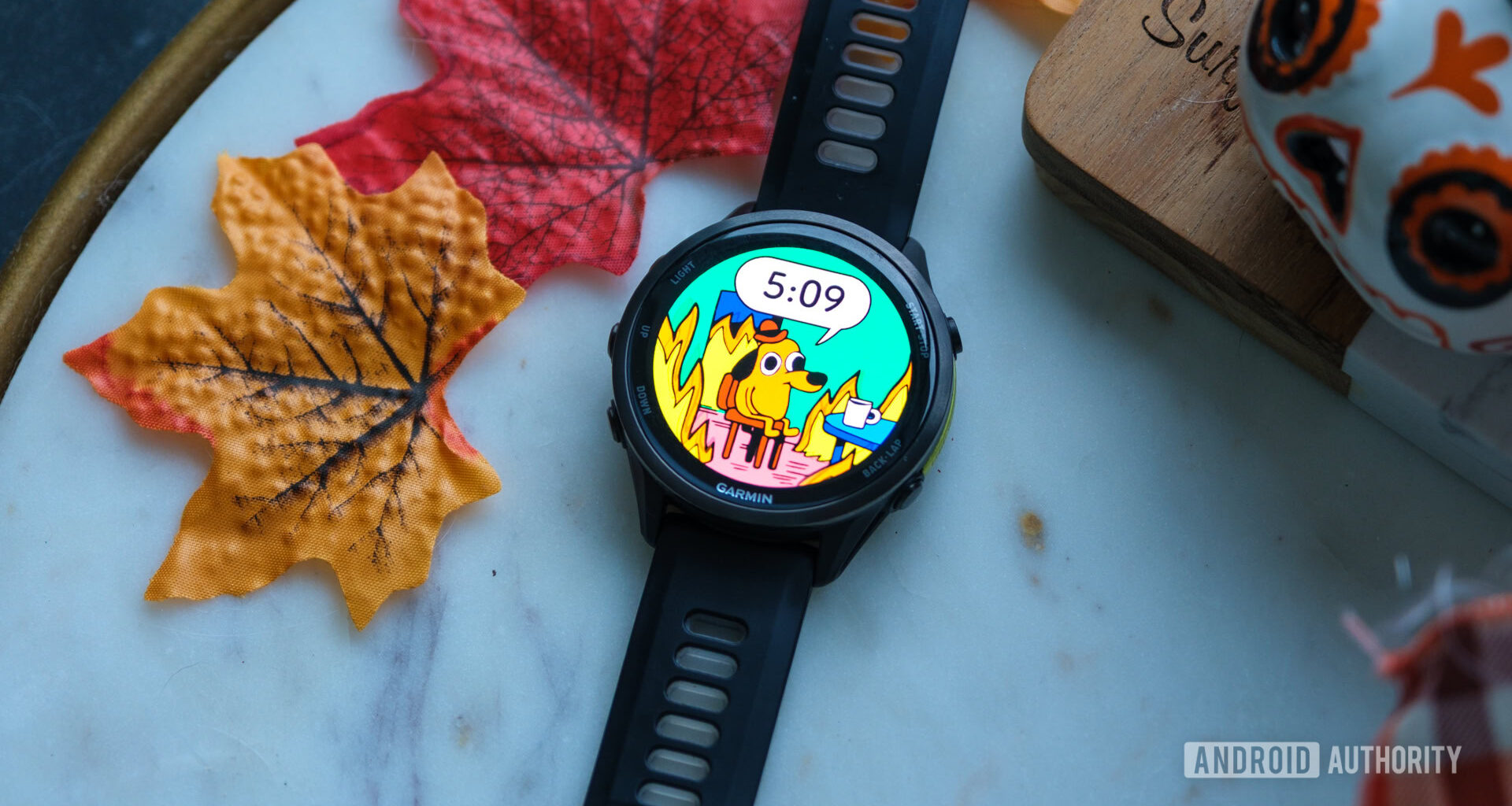 Garmin This Is Fine Watch Face wide view