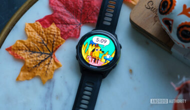 Garmin This Is Fine Watch Face wide view