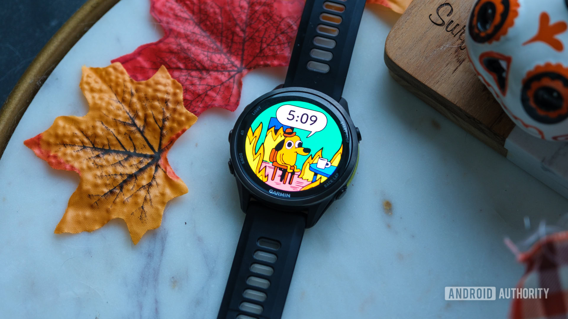 Garmin This Is Fine Watch Face wide view