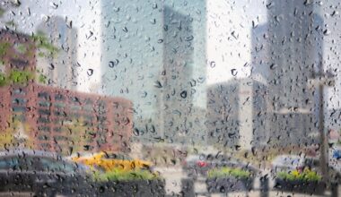 Waves of showers, storms expected in Chicago forecast – NBC Chicago