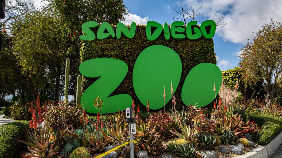 San Diego Zoo gets on board with paid parking for the ‘zoo lot’ – NBC 7 San Diego