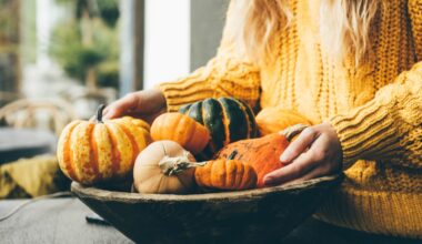 Allergy expert warns of fall decor amid high mold levels – NBC Chicago