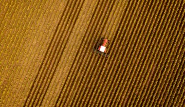 America’s Latest Farmer Crisis Is Government-Grown