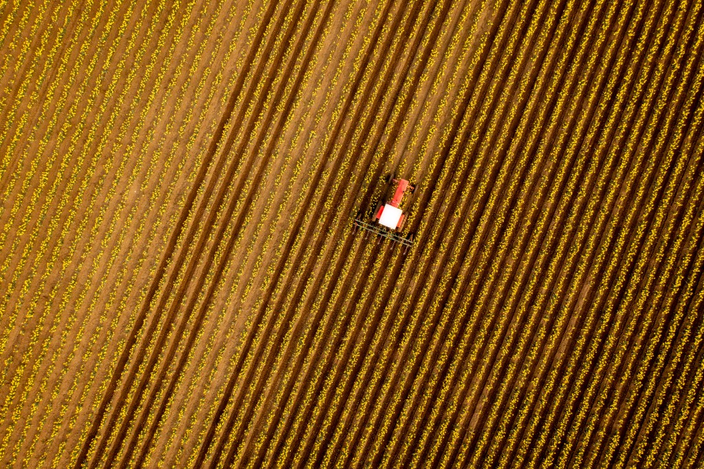 America’s Latest Farmer Crisis Is Government-Grown