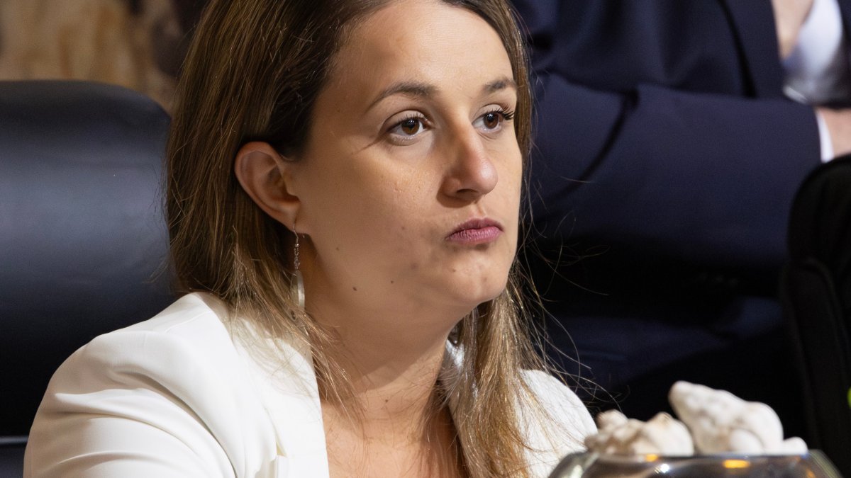 LA Councilmember Imelda Padilla faces recall petition – NBC Los Angeles