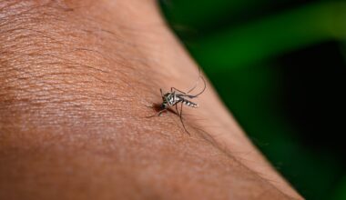LA County reports first human West Nile virus cases of 2025 – NBC Los Angeles