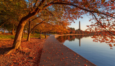 Fall