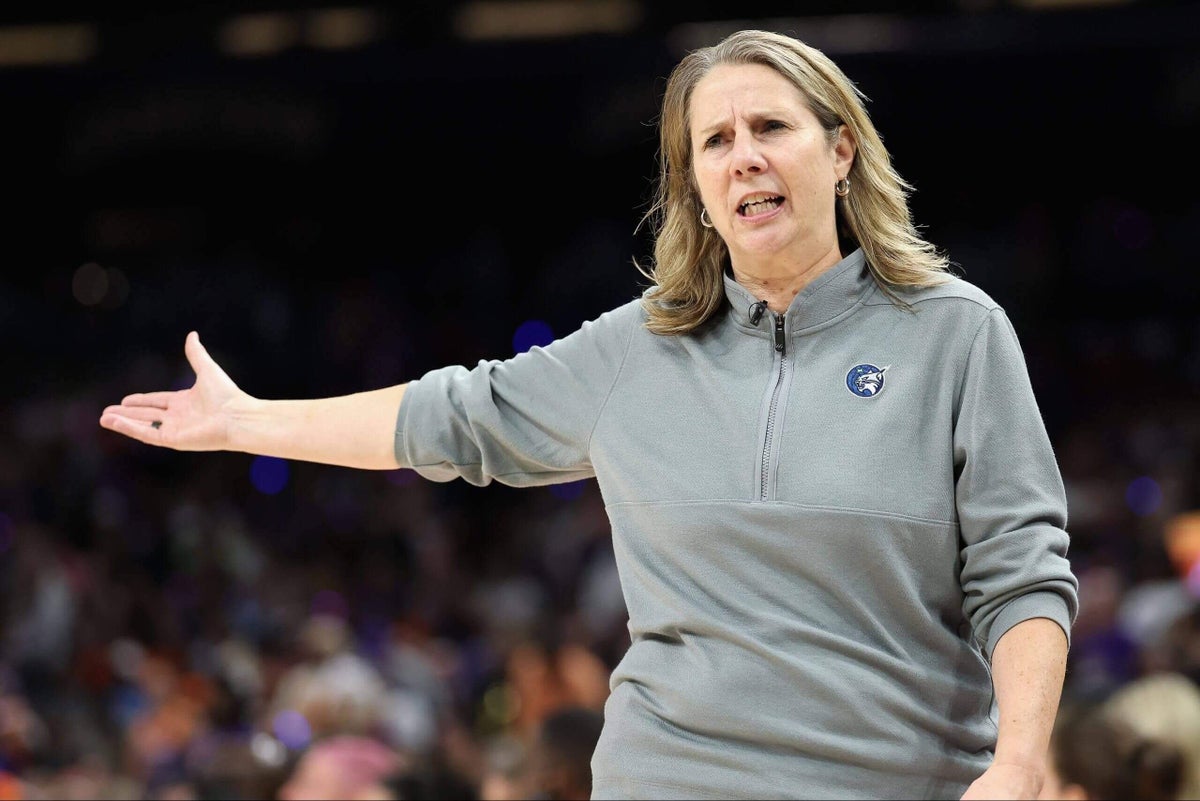 Lynx coach Cheryl Reeve’s suspension was warranted … but many of her points are valid