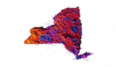 New York State names new deputy CIO
