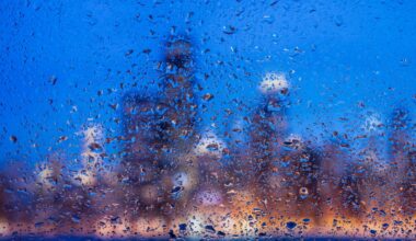 Rain and storms precede summer-like conditions – NBC Chicago