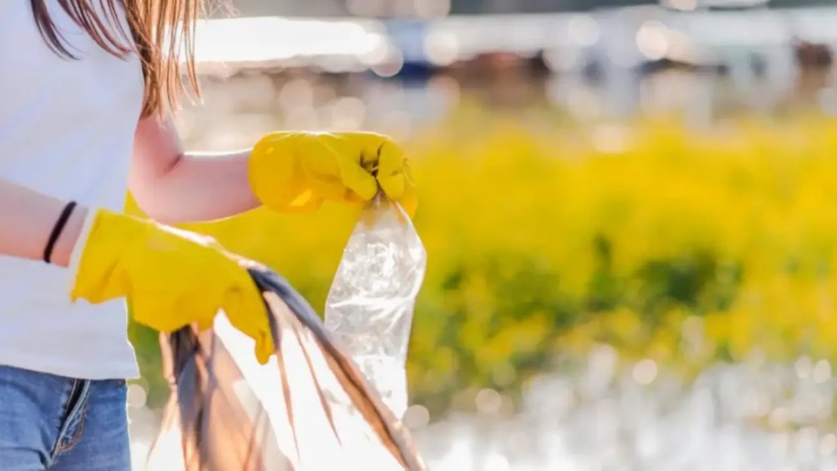 Join a ‘Trashure Hunt’ on California Coastal Cleanup Day – NBC Los Angeles