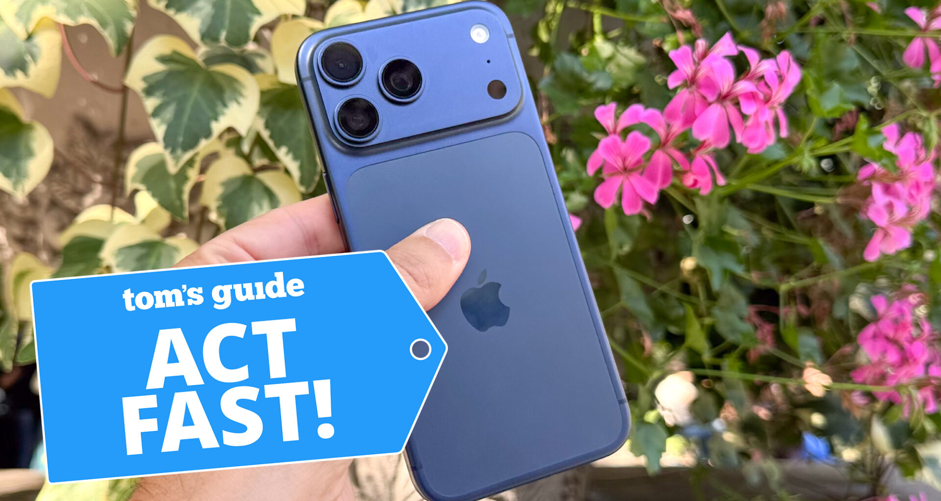iPhone 17 Pro Max shown in front of flowers
