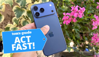 iPhone 17 Pro Max shown in front of flowers