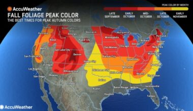 Fall foliage forecast 2025: Where, when to see vibrant colors in New York